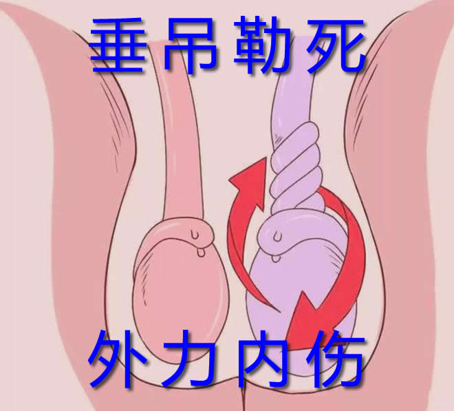 洗髓经 易筋经