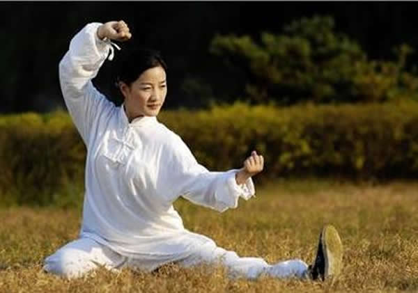太极拳 易筋经