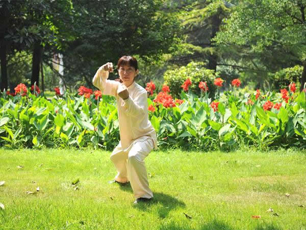 形意拳 易筋经