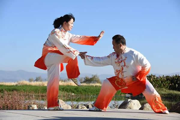 形意拳 易筋经