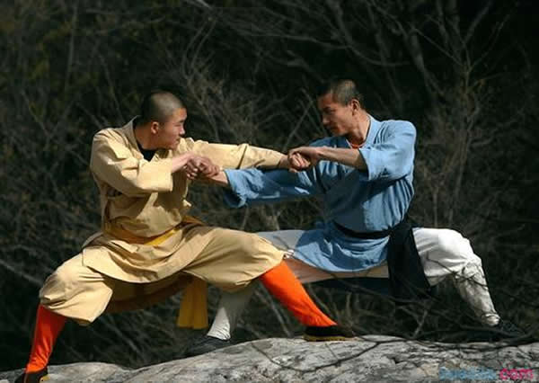 形意拳 易筋经