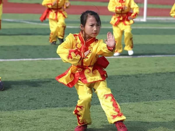 形意拳 易筋经