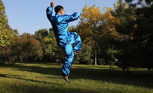 形意拳 易筋经