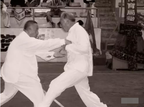 形意拳 易筋经