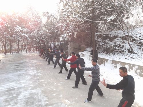 形意拳 易筋经