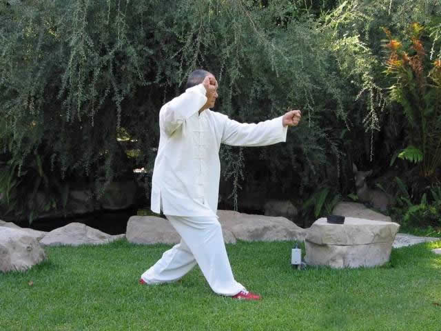 形意拳 易筋经