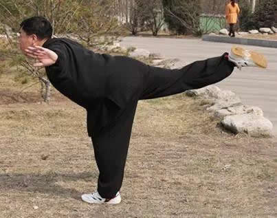 形意拳 易筋经
