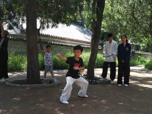 形意拳 易筋经