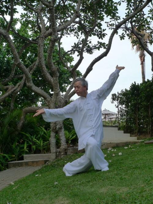 形意拳 易筋经