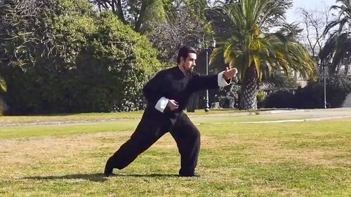 形意拳 易筋经