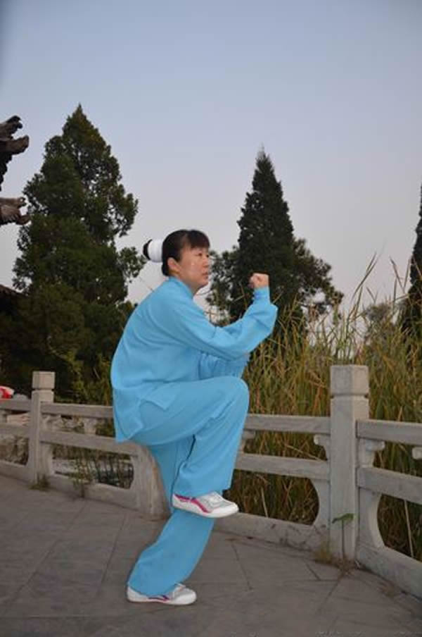 心意把 易筋经