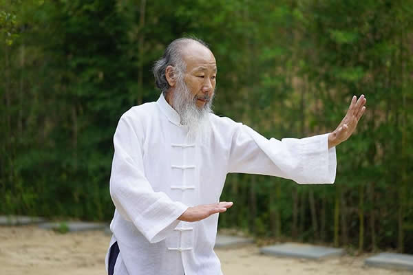 心意把 易筋经