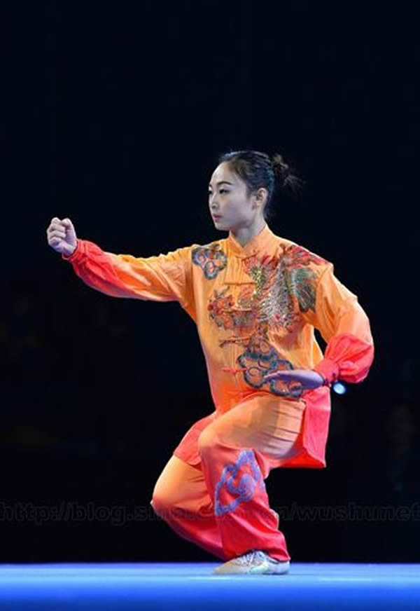 洗髓经 易筋经