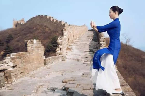 洗髓经 易筋经
