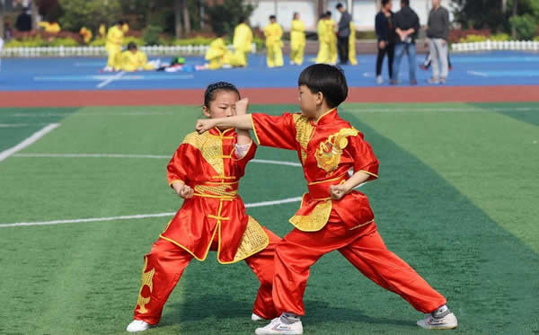 洗髓经 易筋经