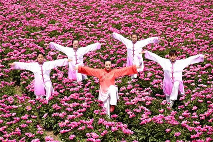 洗髓经 易筋经