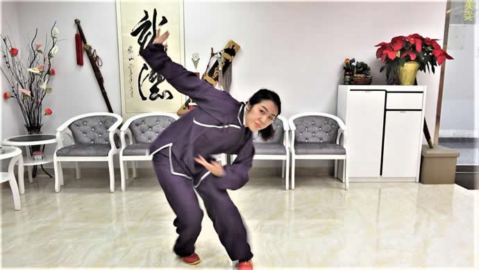 洗髓经 易筋经