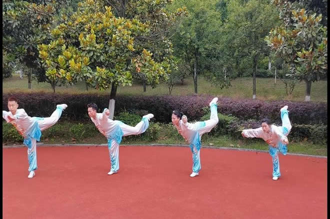 洗髓经 易筋经