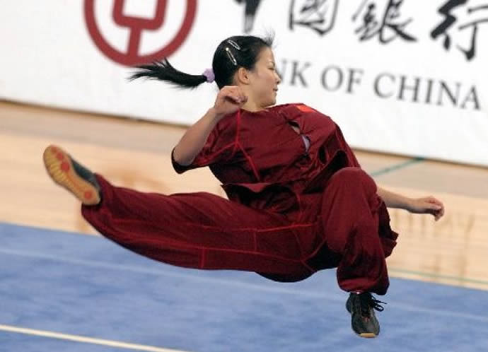 洗髓经 易筋经