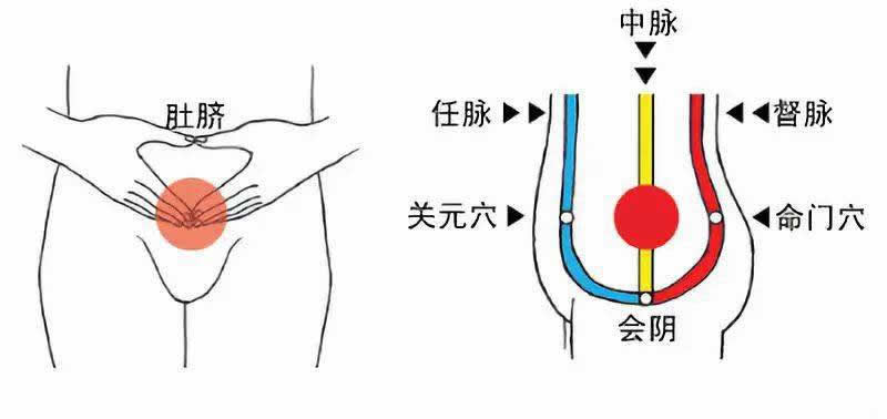 养生课 养生