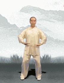 养生课 养生