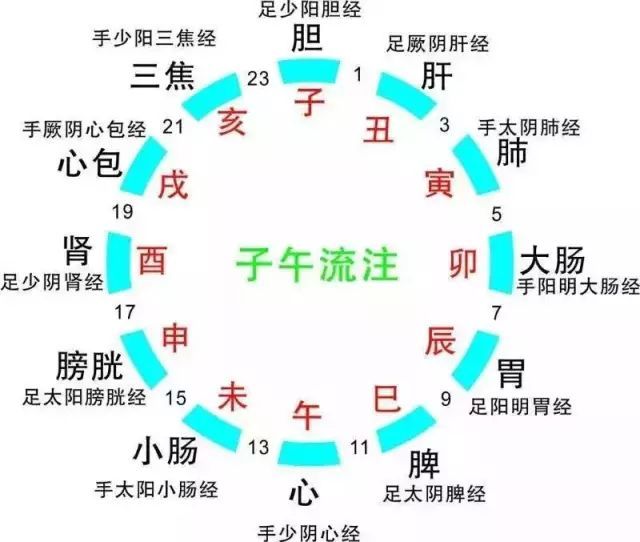 养生课 养生