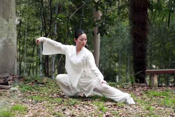 内功 易筋经